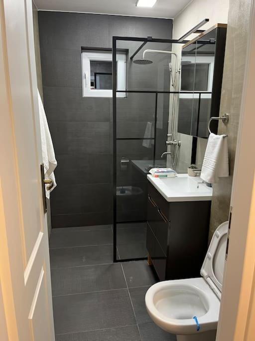 Apartament Σουκεάβα Εξωτερικό φωτογραφία